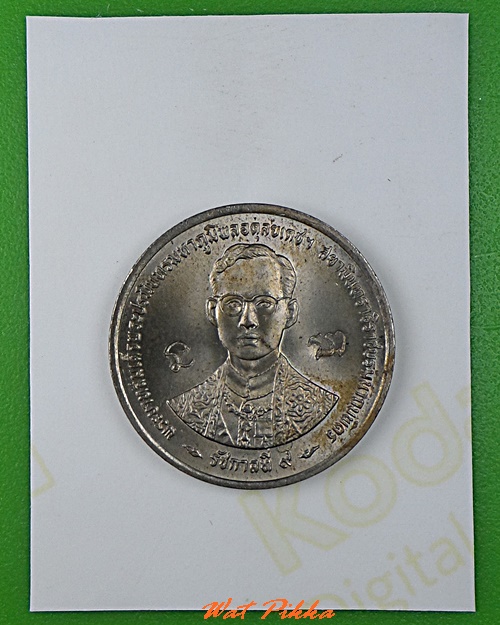 รูปหลวงปู่คำบุ วัดกุดชมภู อุบลราชธานี .B742.*