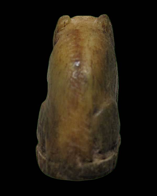 เสือ กระดกูแกะ หลวงพ่อสาย วัดบางเหี้ย จ.สมุทรปราการ