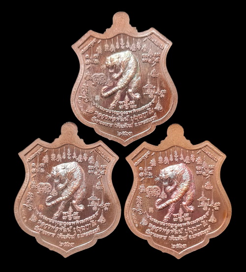 เคาะแรกแดง..พยัคฆ์เจ้าพระยา ๒๕๖๓..ทองแดงมันปูลงยา ๓ เหรียญ..ล.พ.พัฒน์ วัดห้วยด้วน จ.นครสวรรค์ 