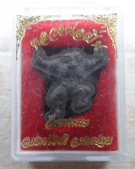 ดำดื้อ หลวงพ่อเปิ่น วัดบางพระ จ.นครปฐม