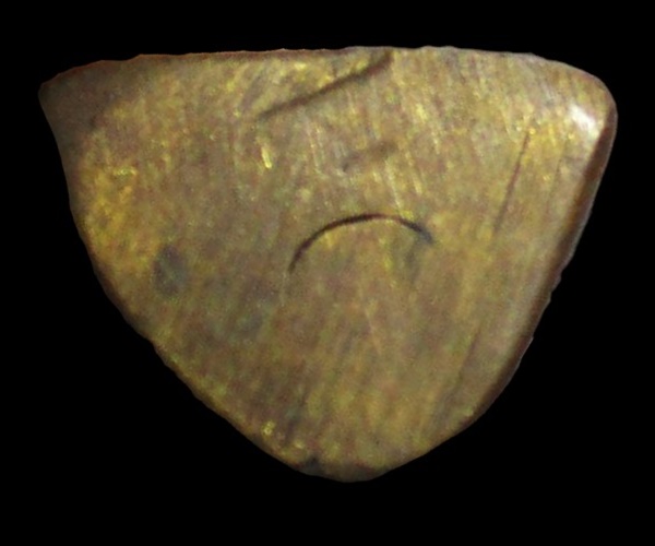 "เคาะเดียว" รูปหล่อหลวงพ่อคง วัดบางกะพร้อม อุดกริ่ง ปี 51 สมุทรสงคราม 