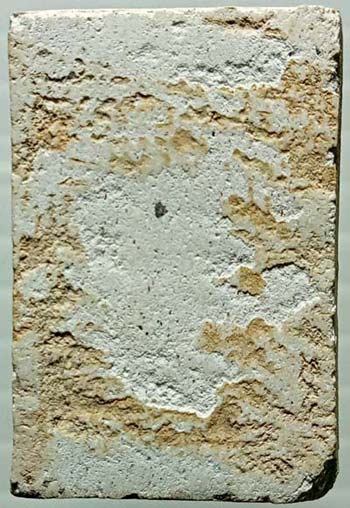 สมเด็จ เนื้อผง