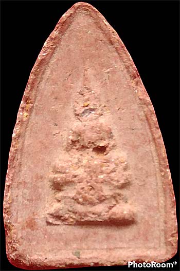 กลีบบัวสองหน้า ว่านสบู่เลือด