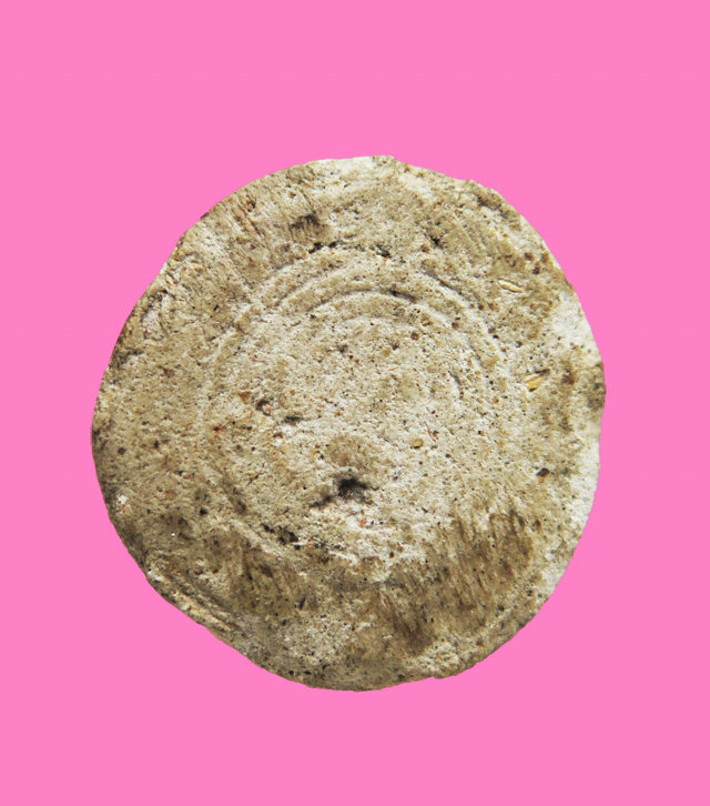 พระผงพิมพ์จันทร์ลอย 