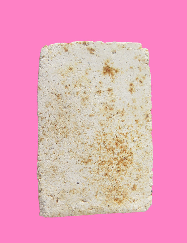 สมเด็จปรกโพธิ์ หลวงพ่อน้อย วัดธรรมศาลา ปี 11