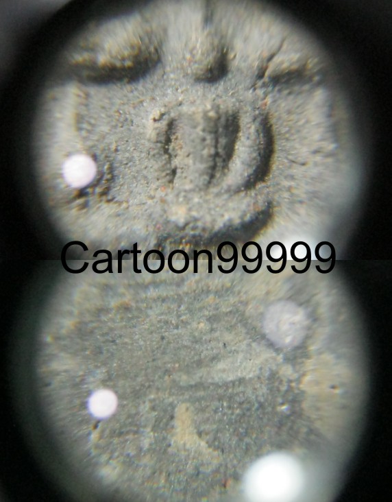 พระเจ้าห้าพระองค์ เนื้อผงครับ เลี่ยมพร้อมใช้ครับผม 