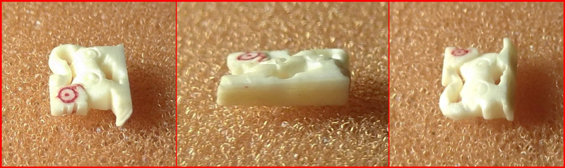 สิงห์งาแกะ หลวงพ่อหอม วัดชากหมาก จ.ระยอง ขนาดเล็ก-3 