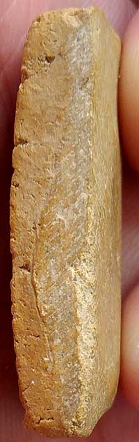 *สมเด็จฯ หูบายศรี เกศอุ หลวงพ่อโชติ วัดตะโน เนื้อผงขมิ้น*