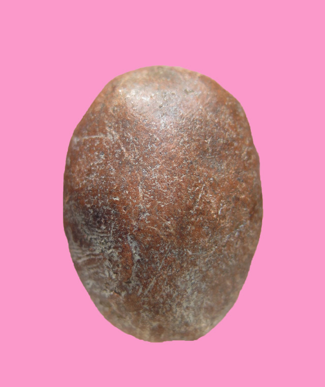 พระนาคปรก พิมพ์จั๊กจั่น หลวงพ่อปี วัดวิหารแดง (สภาพสวย)