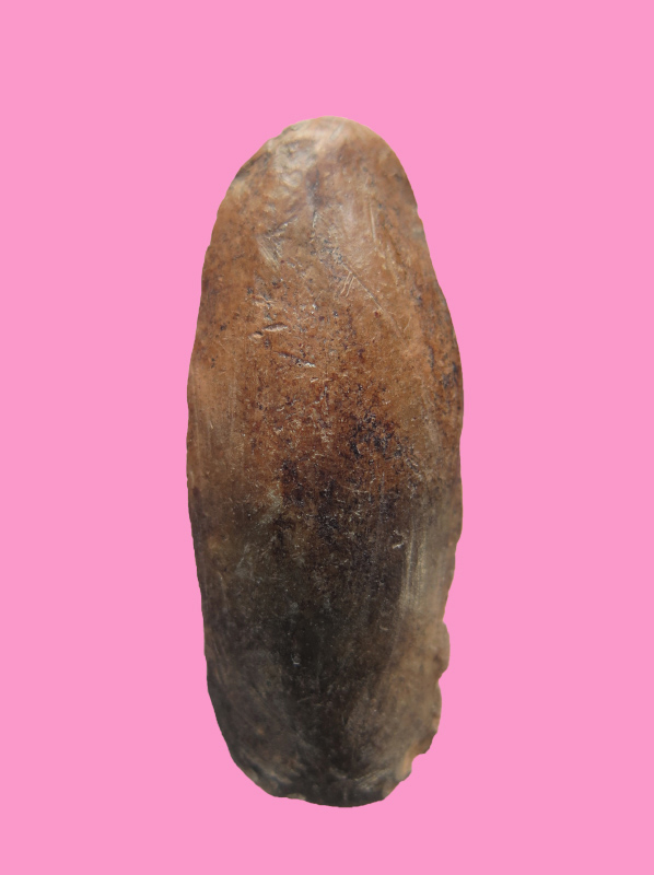 พระลีลา เนื้อดิน