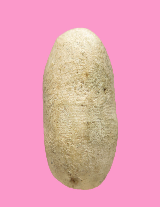 พระลีลา เนื้อผง