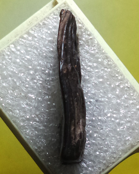 พระว่านจำปาสัก แขวงจำปาสัก ประเทศ สปป ลาว