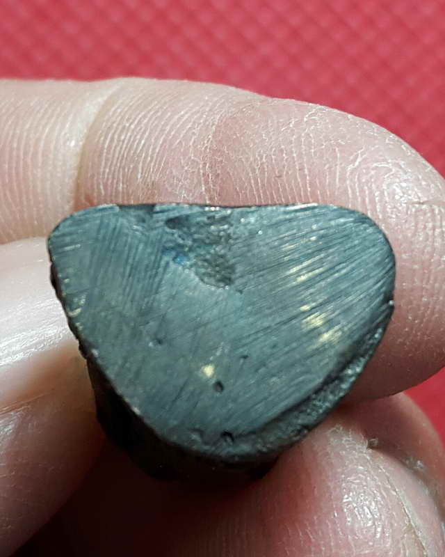 รูปหล่อรุ่น๑หลวงพ่อตี๋ วัดโพธิพิทักษ์ อ.มโนรมย์ จ.ชัยนาท ปี ๒๕๓๗ (เคาะเดียวแดง)