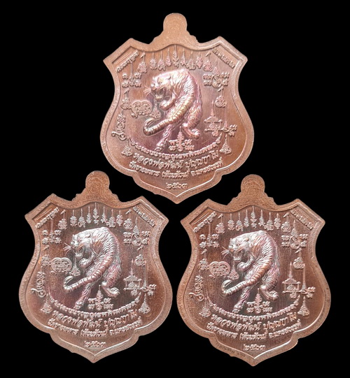 เคาะแรกแดง..พยัคฆ์เจ้าพระยา ๒๕๖๓..รวม ๓ เหรียญ รายละเอียดในโพสต์..ล.พ.พัฒน์ วัดห้วยด้วน จ.นครสวรรค์