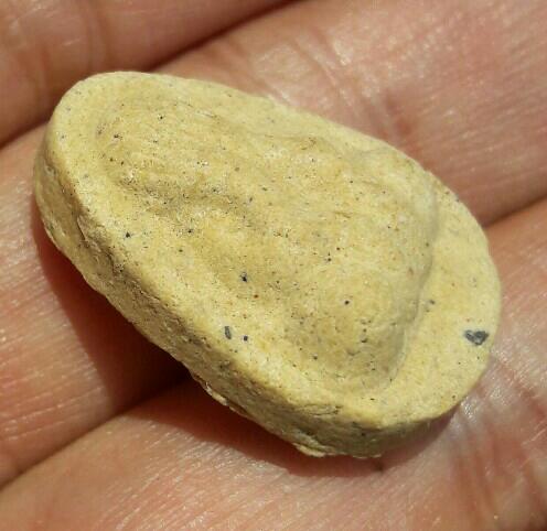 พระไม่ทราบที่ เคาะเดียว