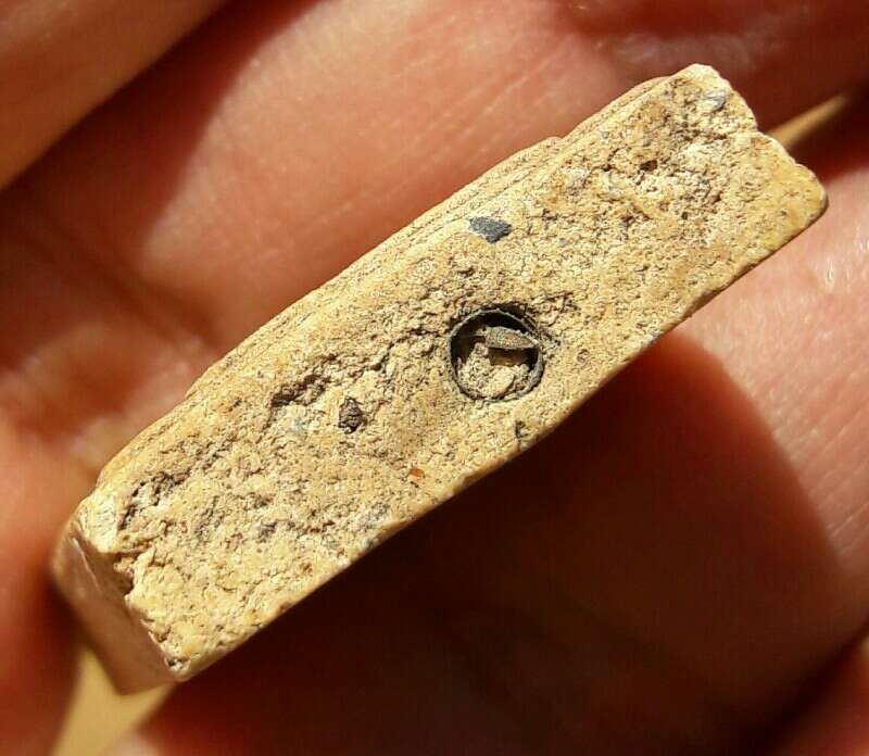 พระไม่ทราบที่ ตะกรุด 1 ดอก เคาะเดียว