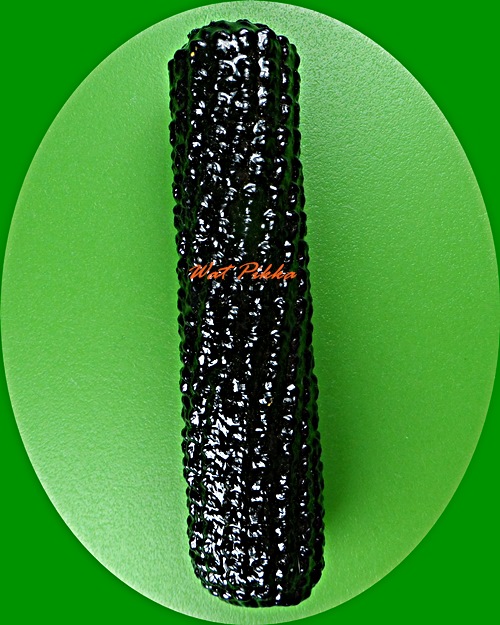 ตะกรุดหลวงปู่กาหลง วัดศรีประดู่ อุบลราชธานี .D359.