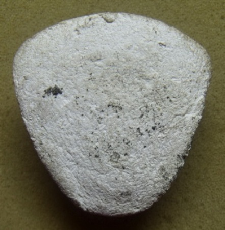 **เบา​ๆ​**พระผงหน้าเสือ  หลวงพ่อเปิ่น วัดบางพระ จ.นครปฐม**มหาอำนาจบารมีดีนัก สวยๆ