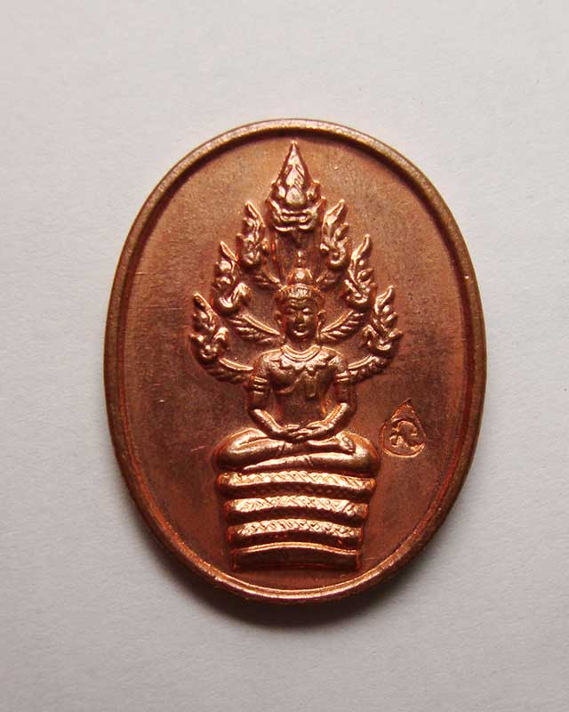 เหรียญพระนาคปรก ไตรมาส๕๑ หลวงพ่อสาคร วัดหนองกรับ พิมพ์เล็ก  เนื้อทองแดง