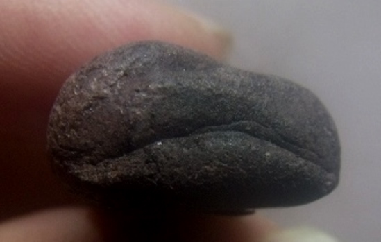 **เบา​ๆ​**พระปิดตามหาลาภ เนื้อว่าน หลังปิดจีวร เก่าๆ ไม่ทราบที่**เนื้อจัด สวยๆ เชิญชมครับ