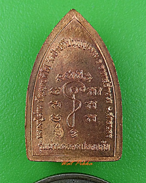 เหรียญปรกหลวงปู่ผ่าน วัดป่าปทีปปุญญาราม สกลนคร .D654.