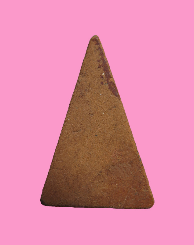 นางพญาเนื้อดิน หลวงปู่นาค วัดระฆัง