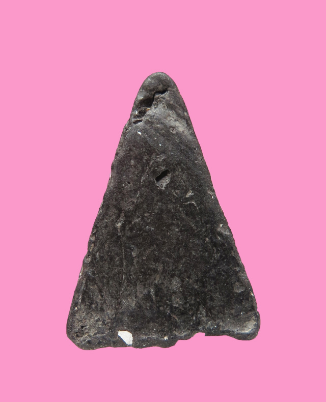 นางพญาเนื้อดำ