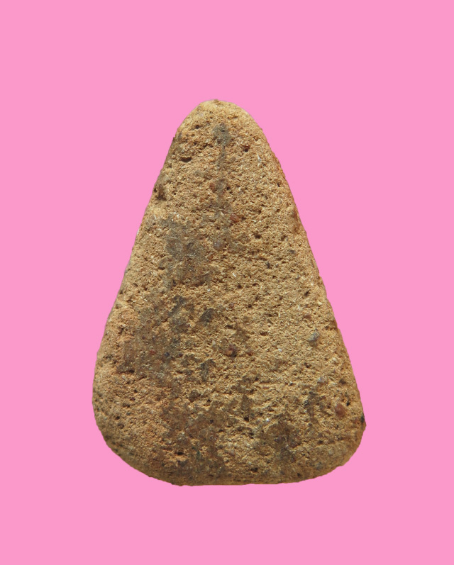 นางพญาเนื้อดิน 