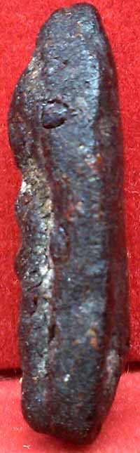 *กลีบบัว เนื้อครั่งพุทรา*