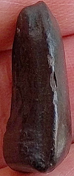 พิมพ์สมาธิ หลังตาราง ผงคลุกรัก จุ่มรัก