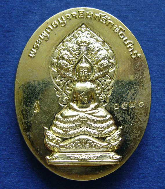 T6 พระพุทธมุจจลินท์รักษ์ธนทวี รุ่น "มุจจลินท์มหาโภคทรัพย์"เนื้อฝาบาตร สองหน้า