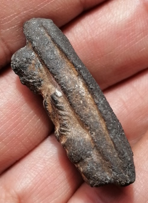 หลวงปู่ทวดเนื้อว่าน​ พิมพ์ใหญ่ วัดเขาอ้อ จ.พัทลุง จัดสร้างปี พ.ศ.2505​ เคาะเดียว