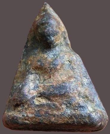 เนื้อชินเงิน