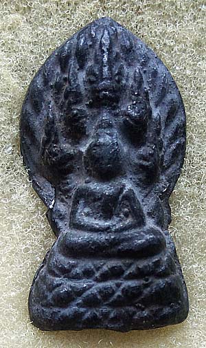 นาคปรก เนื้อชิน