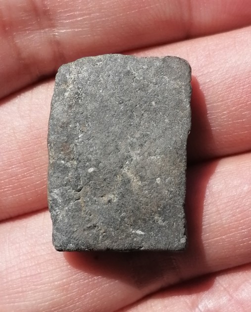 พระสมเด็จพิมพ์นักเลงโต หลวงพ่อทาบ วัดกระบกขึ้นผึ้ง จ.ระยอง เนื้อผงใบลาน ปี 2505 เคาะเดียว