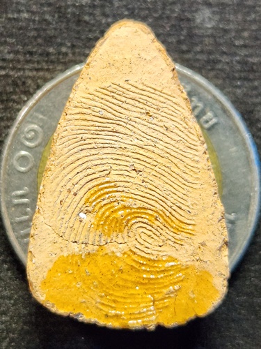 วัดป่าเลไลยก์วรวิหาร สุพรรณบุรี พระขุนแผน พิมพ์เถาวัลย์เลื้อย รุ่นมหามงคล 2552