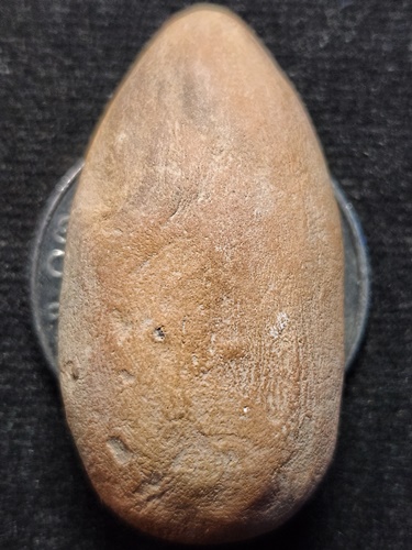 วัดรัตนชัย จ.อยุธยา พระขุนแผนไข่ผ่าซีก พิธีจตุรพิธพรชัย ปี 2518 เนื้อดิน  (หลวงพ่อกวย ปลุกเสก)