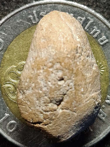 กรุเขาดีสลัก สุพรรณบุรี พระถ้ำเสือ  พิมพ์ต้อ ยอดธง เนื้อดิน