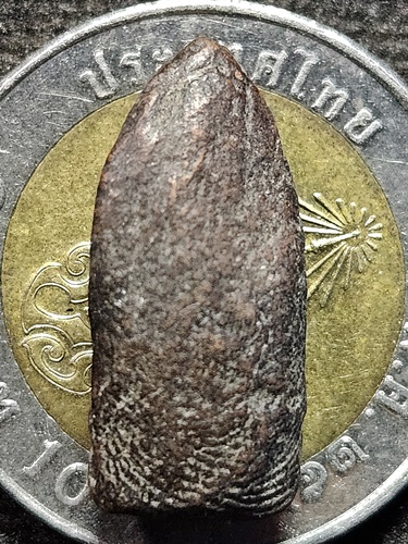  วัดดอนไร่ สุพรรณบุรี พระนาคปรก หลวงพ่อมุ่ย  ปี 2490 