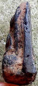 *พระรอด ดินเผา กรุวัดโปรดเกษ นนทบุรี เนื้อเขียว*