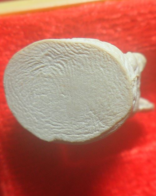 พระพิฆเนศ หลวงปู่คำบุ คุตตจิตโต วัดกุดชมภู เสกให้วัดเลียบ จ. อุบลราชธานี เนื้อผงพุทธคุณ ปี 2555