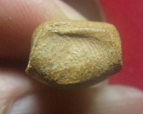 **เบาๆ**พระรอดดอยตุง รุ่นบูรณะพระธาตุ วัดพระธาตุดอยตุง จ.เชียงราย ปี ๒๕๕๑**กล่องเดิม สวยๆ