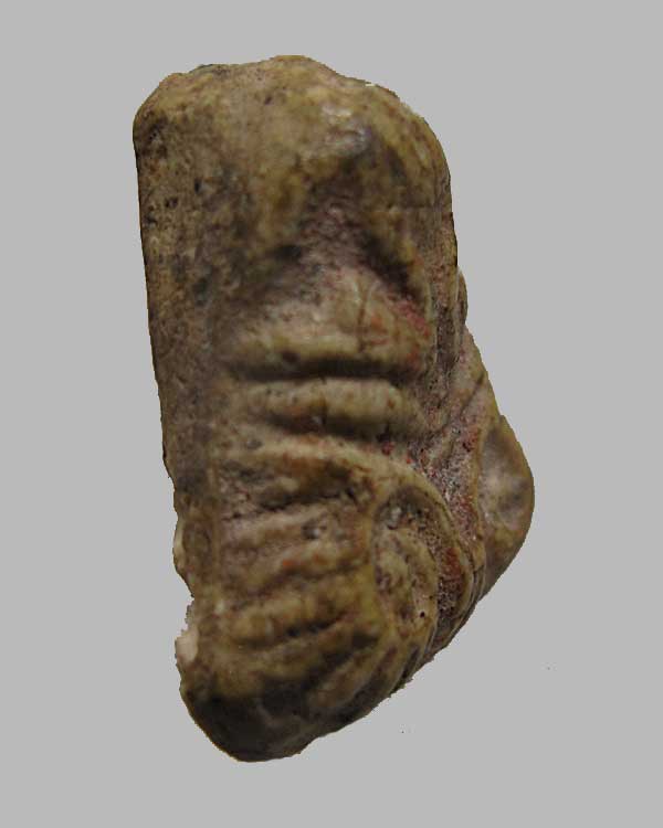 พระปิดตามหาอุด พิมพ์หัวบานเย็น หลวงปู่เอี่ยม สุวณฺณสโร วัดหนังราชวรวิหาร กทม.