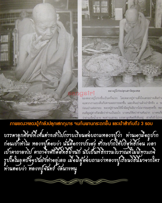 กุมารกวักทรัพย์ ปี 57 หลวงปู่โปร่ง ปืนตัน