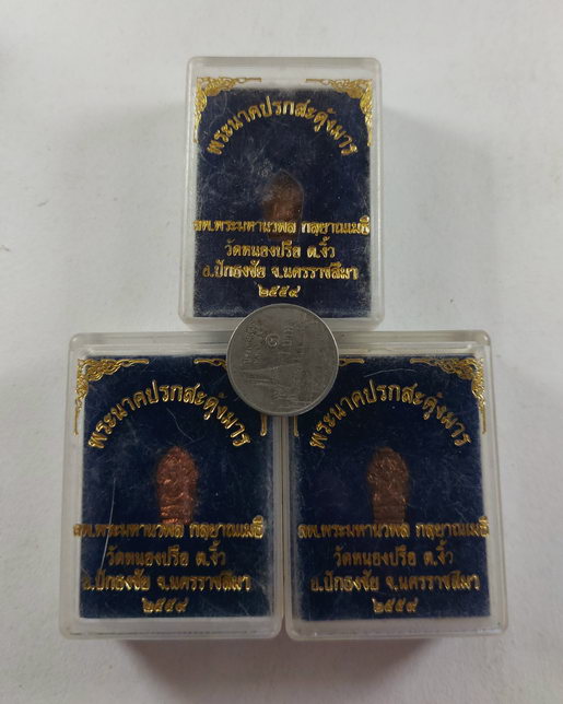 " ปรกใบมะขาม พระนาคปรกสะดุ้งมาร หลวงพ่อนวพล วัดหนองปรือ อ.ปักธงชัย จ.นครราชสีมา ปี 2559 ด้านหลัง จาร