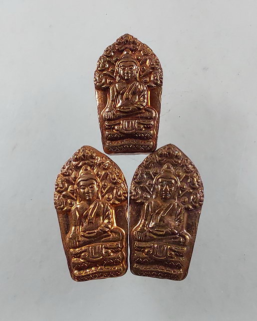 " ปรกใบมะขาม พระนาคปรกสะดุ้งมาร หลวงพ่อนวพล วัดหนองปรือ อ.ปักธงชัย จ.นครราชสีมา ปี 2559 ด้านหลัง จาร