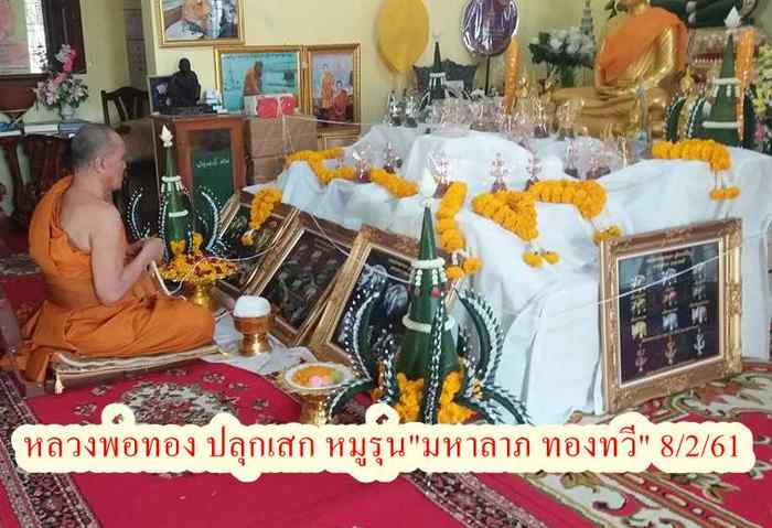 หมู รุ่นแรก หลวงพ่อทอง สุทฺธสีโล ปี2561 รุ่น"มหาลาภ ทองทวี เนื้อชนวนโบราณ หมายเลข406+กล่อง