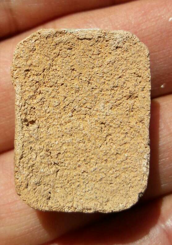 พระไม่ทราบที่ เคาะเดียว