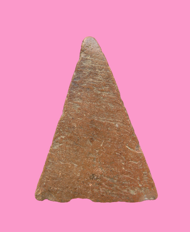 นางพญาสวมมาลา เนื้อดิน