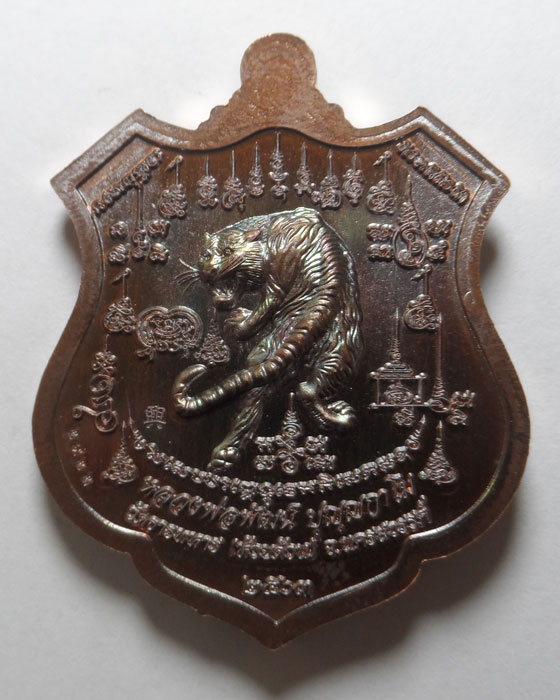 เหรียญพยัคฆ์เจ้าพระยา หลวงพ่อพัฒน์ วัดห้วยด้วน จ.นครสวรรค์